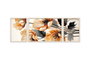 Wallity Huhu306 Conjunto de 3 Cuadros Decorativos Multicolor